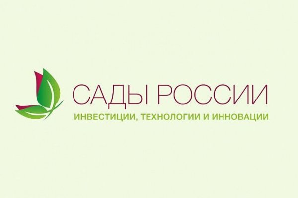 Где брать ссылки на кракен